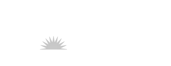 Allegiant Stadium — Venue Logo