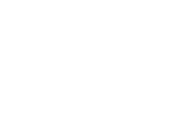 FOX — Network Logo