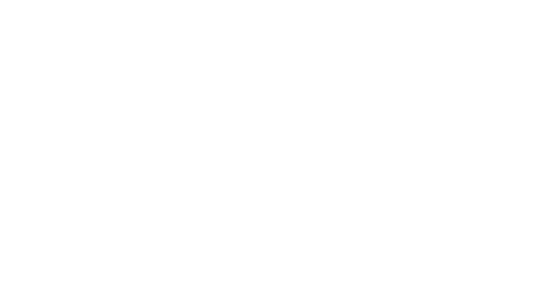 Insomniac — Promoter Logo