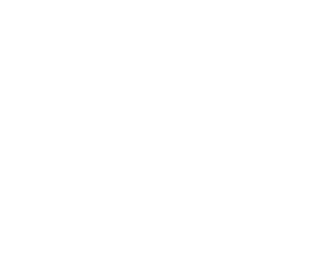 MetLife Stadium — Venue Logo