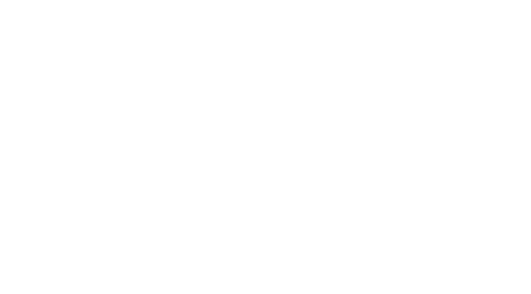 Nocturnal Wonderland — Festival Logo