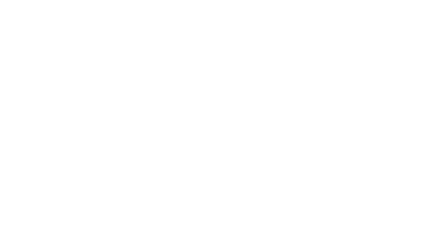 Red Bull — Brand Logo