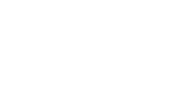 Stagecoach Festival — Logo