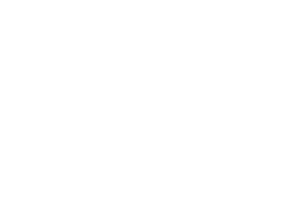 Sonoma Music Festival — Logo